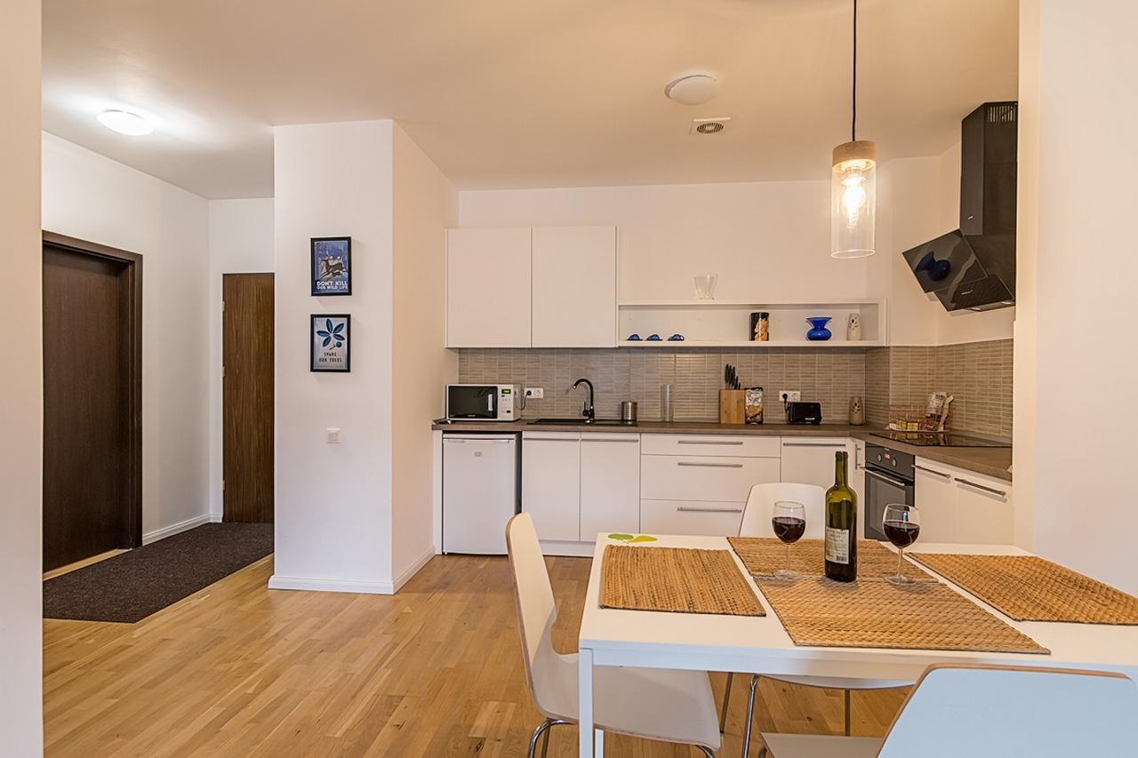 Tampa Gardens - Mountain View Apartment Брашов Екстериор снимка